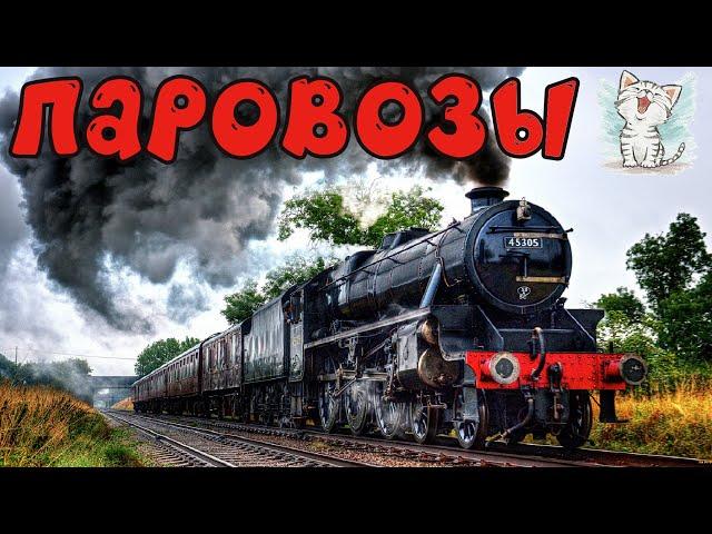 Паровозы для детей. Обучающее видео