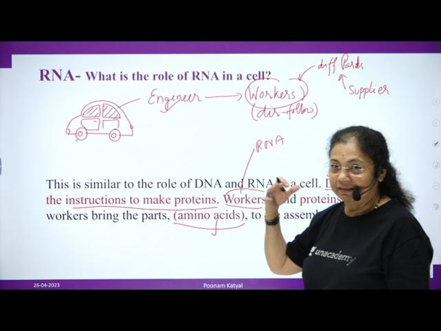 DNA To Proteins - transcription UPSC CSE IAS