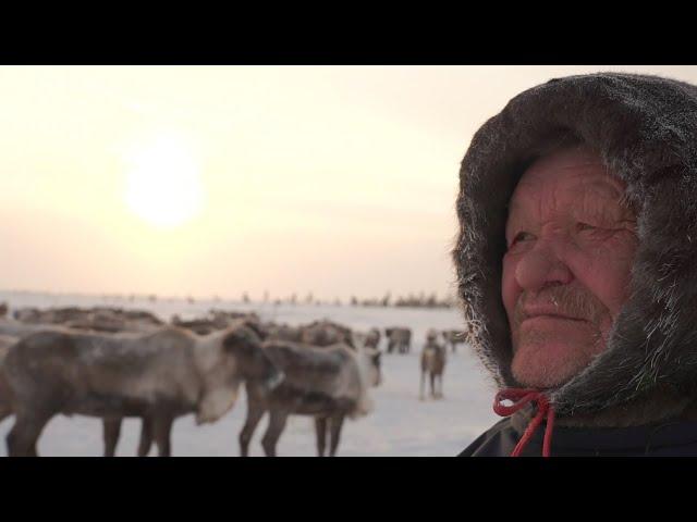 Оленевод владеющий несколькими языками народов Севера.«Ясавэй. Кочевник XXI века» Яков Музыкантов