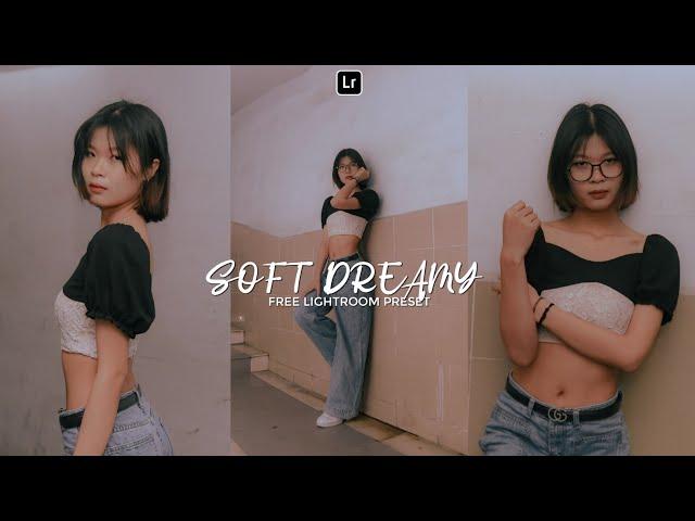 Soft Dreamy Preset | Lightroom Mobile Preset Free DNG | dreamy effect | lightroom presets