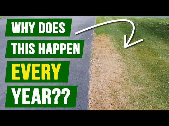 DEAD SPOTS in Same Spot Every Year - WHY and HOW to FIX THEM!