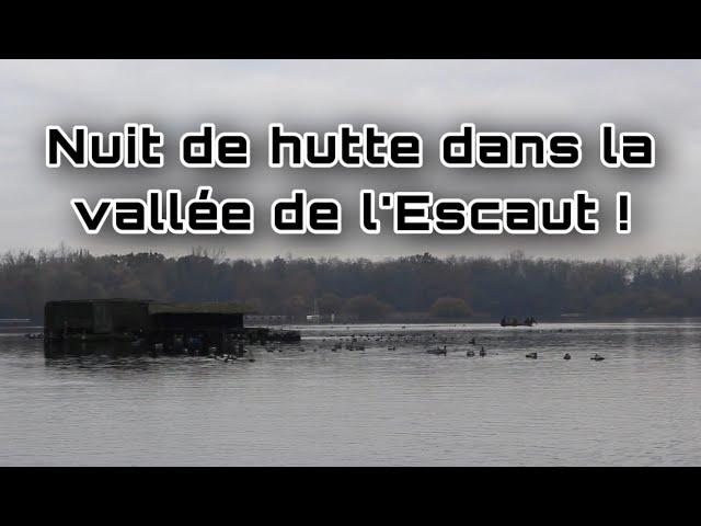 Nuit de hutte dans la vallée de l'Escaut ! - Romain Chasse Passion