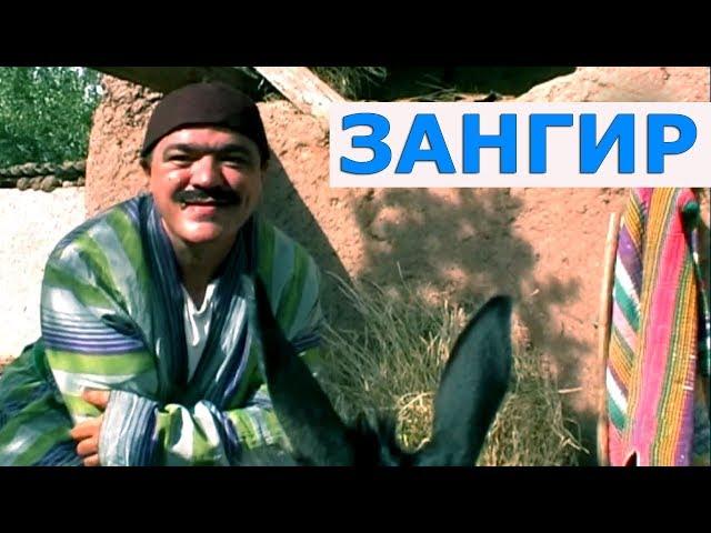 Шухихои Аловуддин - Зангир | Shukhihoi alovuddin