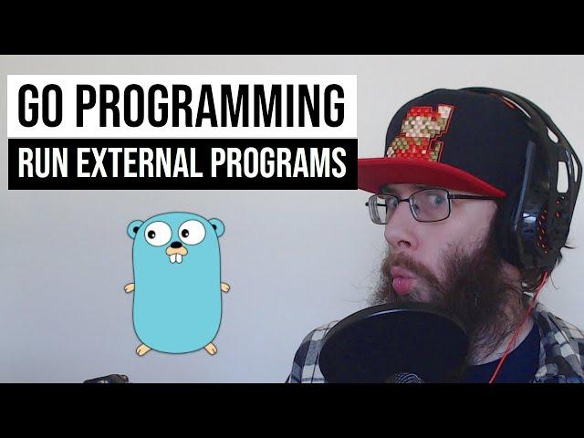 How to run other system commands from your Golang program