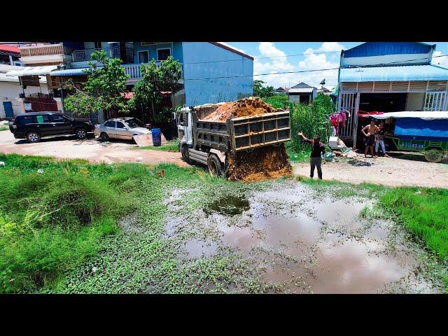 New Project! Experts transport soil to fill in flooded field Replace with Soil By Bulldozer Pouring