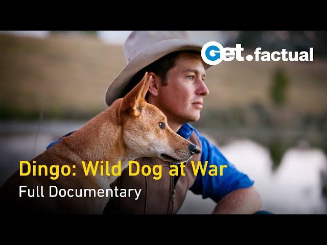 Dingo: Wild Dog at War - Full Documentary