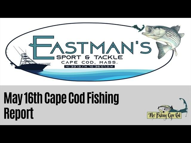 May 16 Report with Eastman’s Sport & Tackle of Falmouth