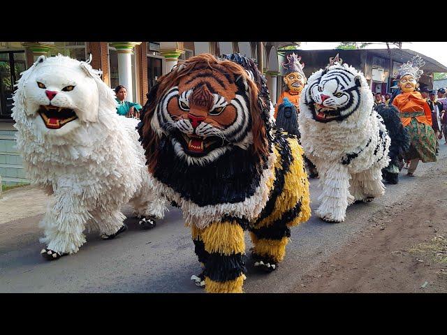 Live KIRAB CAN MACANAN SINGO MANGGALA & DRUMBAND MAONG KEMBAR DI MENGEN