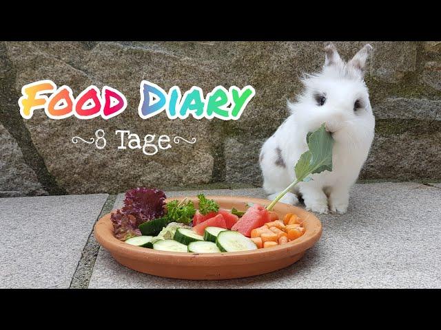 Food Diary|Kohlanfütterung|Bunnys Diary