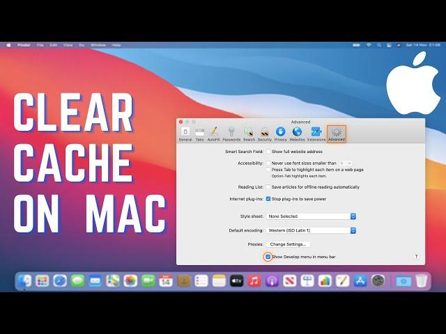 How to Clear Cache on a Mac