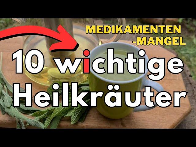 Medikamentenmangel: Meine Top 10 Heilkräuter für die Hausapotheke