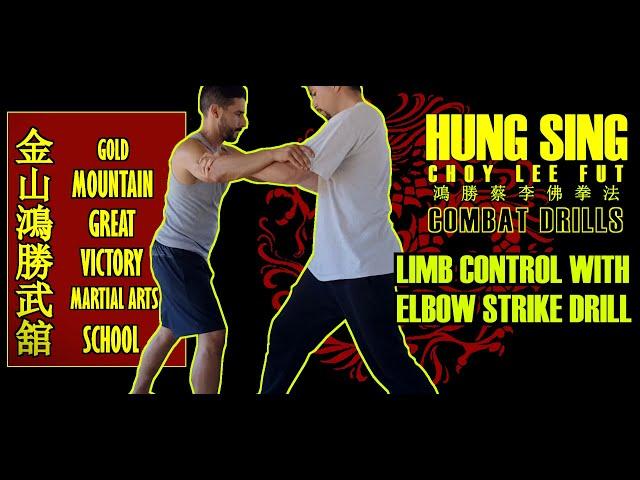 Controlling the limbs drill plus  pull and  elbow strike (Double Kum Na Pull and Elbow strike)