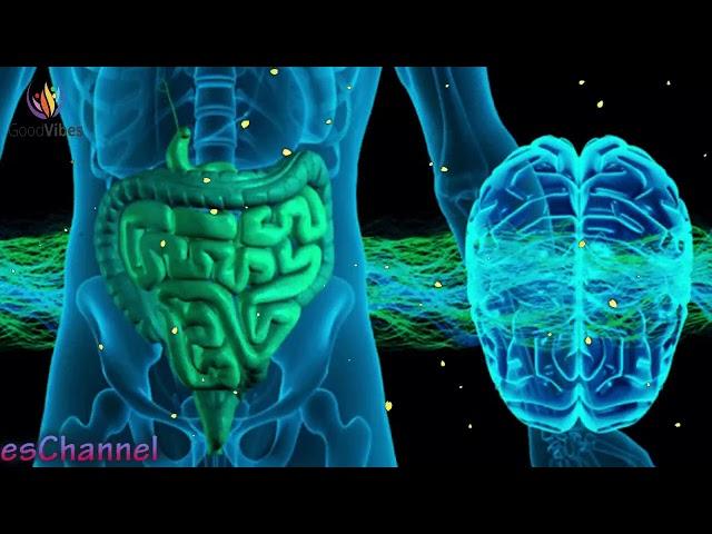 Stomach Colon & Digestion Disorder Treatment  Theta Binaural Beats  Sound Therapy #GV350