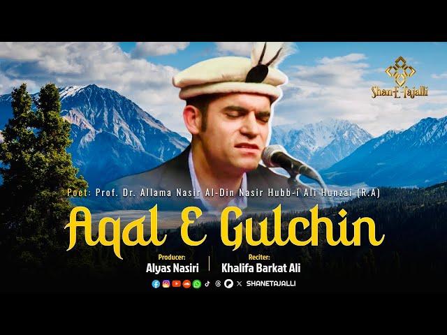 Aqal e Gulchin - Official Lyrical Video || A Production of @ShaneTajalli