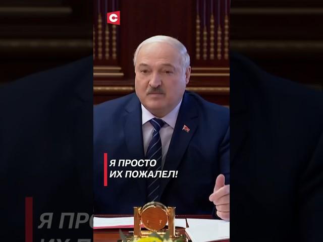 Лукашенко: Я просто их пожалел! #shorts #лукашенко #беларусь #политика #новости