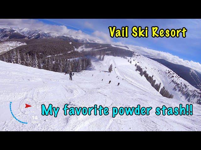 Vail Mountain -  SECRET Local Stash of Powder