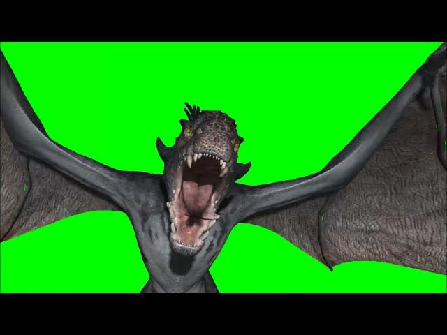 Green Screen Dragon flying new angles