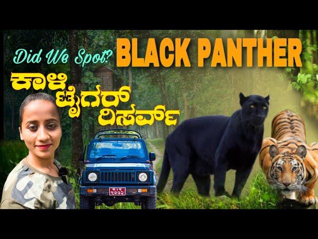 Kali Tiger Reserve | Anshi National Park Jungle Safari | Black Panther In Dandeli