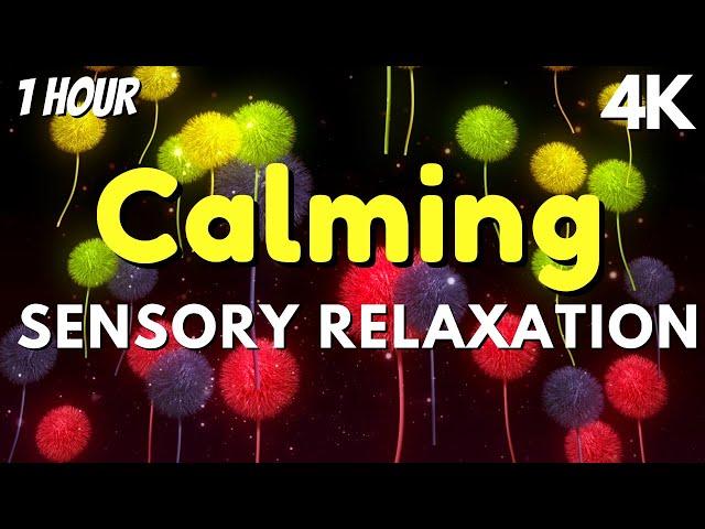 Best Sensory Music for Autism Sensory Visuals