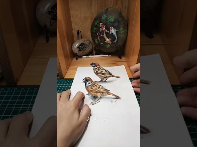 ️3d Drawing Birds | Creative Drawing Ideas—Catch This Bird️#shorts #3dart #3ddrawing