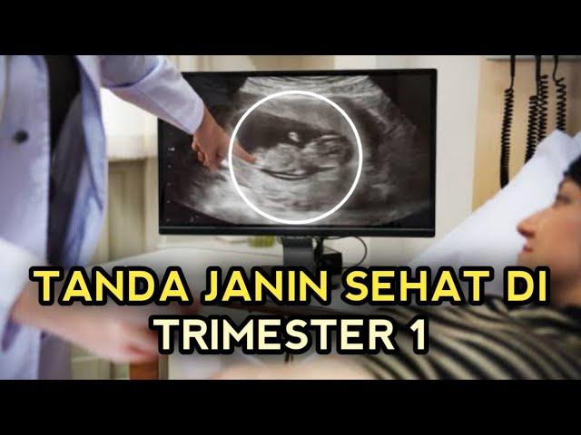 CIRI-CIRI JANIN SEHAT DI TRIMESTER 1 KEHAMILAN – Bumil Wajib Tau!