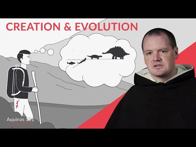 Are Creation and Evolution Compatible? (Aquinas 101)