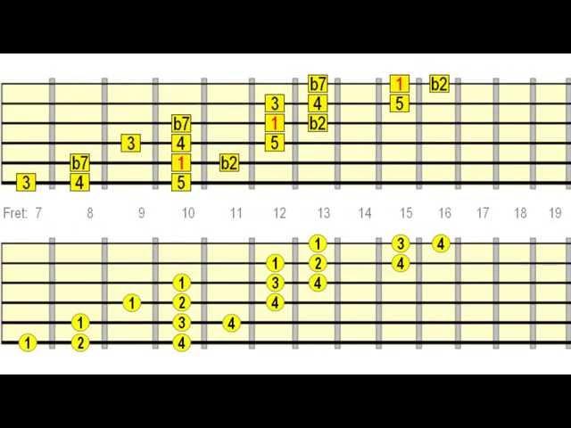 Neck Dominating & Speed Building Guitar Scale Runs