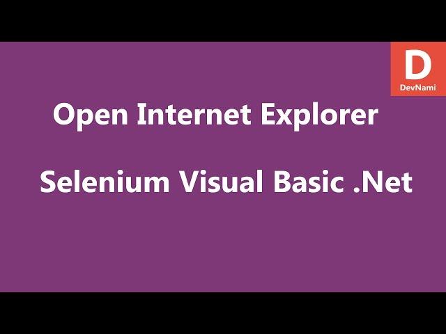 VB Net Selenium Open Internet Explorer Window