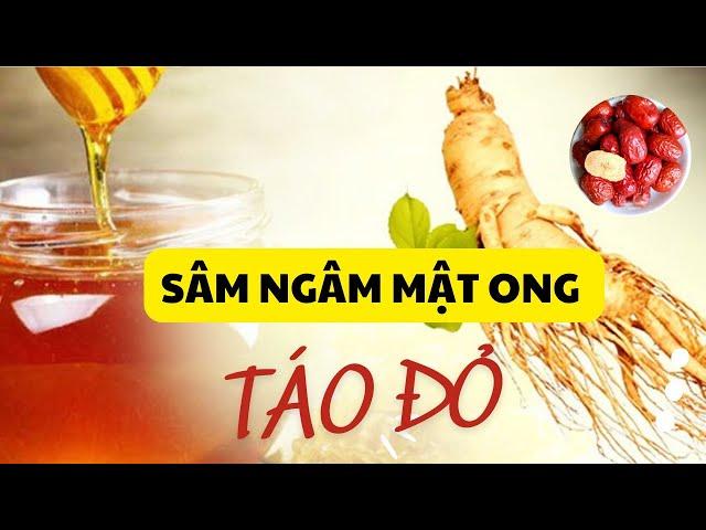 Hướng Dẫn Cách Ngâm Nhân Sâm Hàn Quốc Với Mật Ong Và Táo Đỏ - Thi Đặng - ANaNa Nhân Sâm Korea