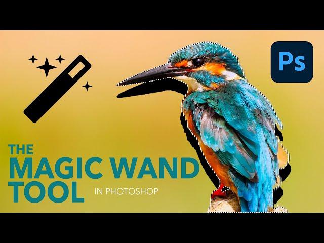 How To Use The Magic Wand Tool In Photoshop - A Complete Guide