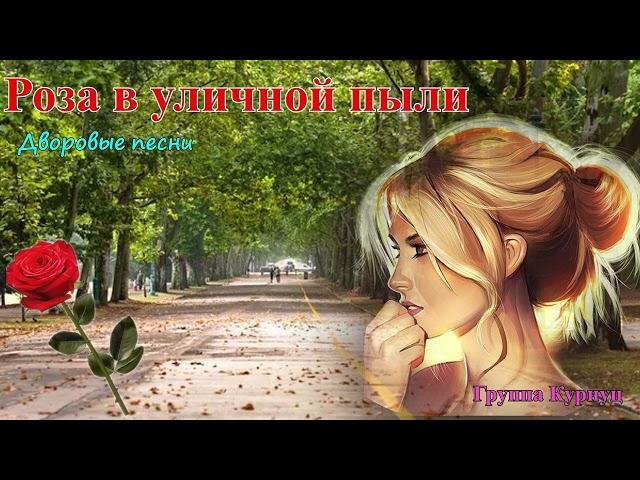 Formatia Curnut (Группа Курнуц) - Роза в уличной пыли, дворовые песни, шансон #курнуц #дворовые