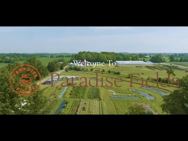 Welcome to Paradise Fields