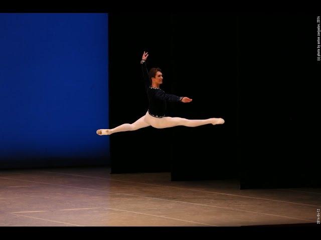 Arabesque 2014 | Nikita Chetverikov | Swan Lake