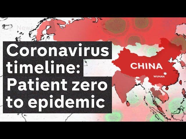 How coronavirus (Covid-19) spread day by day