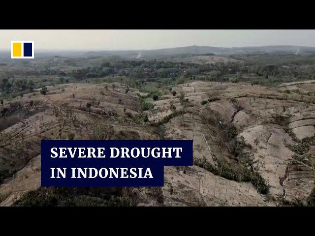 Indonesian villagers trek for murky water with early arrival of severe drought