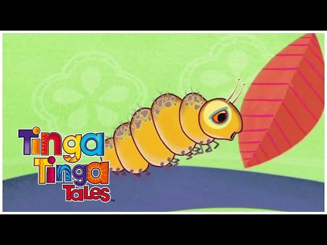 Why is Caterpillar Never in a Hurry? | Tinga Tinga Tales Official | Cartoons for Kids