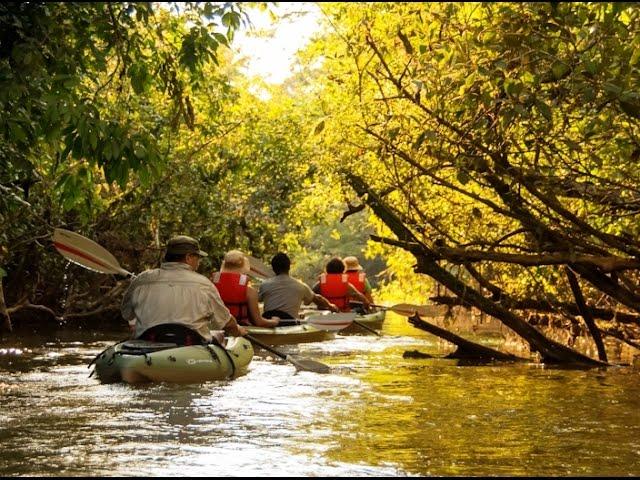 Ecuador's Amazon Region