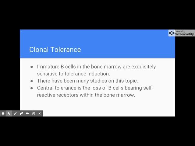 Development Tolerance - Google Slides
