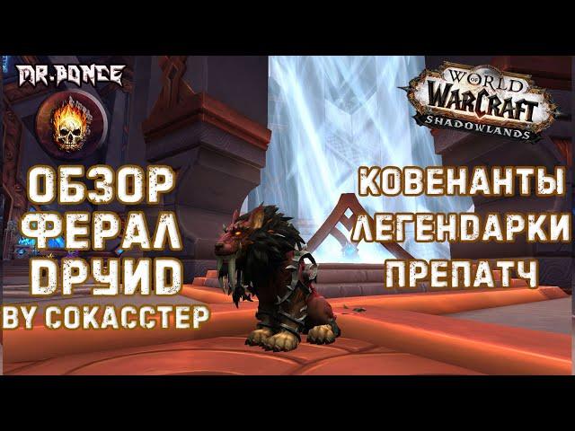  Обзор Ферал Друид WOW Shadowlands патч 9.0.2️Ковенанты Легендарки  | Сила Зверя Кот препатч 9.0.1