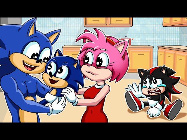 WHY  Don't Parents Love Me??? - Shadow Jealous with Sonic - Sonic The Hedgehog 3 Animation