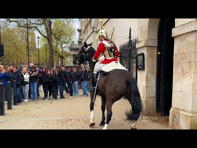 SPOOKED HORSE! Kings Guard screams at public to get to safety!