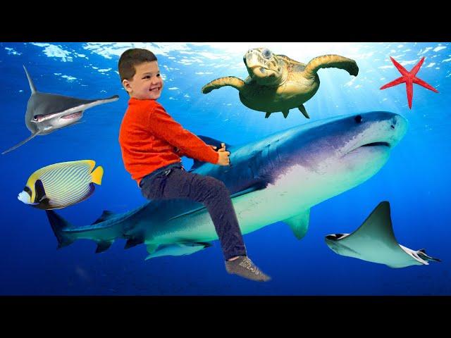 Caleb Visits the AQUARIUM, RIDES ON a SHARK, Touches STINGRAYS and FEEDS the TURTLES!!