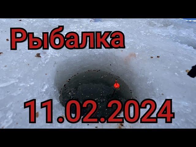 Рыбалка на поплавок 11 февраля 2024! Взгляни в Лицо Своему Страху,что-бы Поймать Этих Рыб!