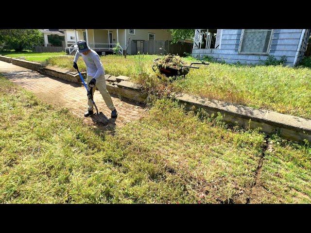 I stumbled upon this BURIED brick pathway and SCRAPED it clean