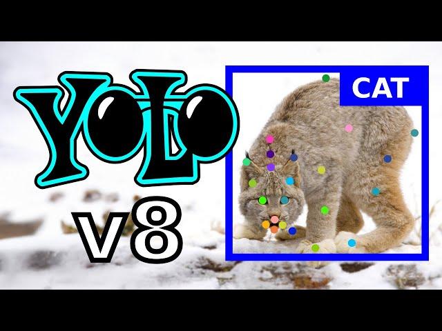 Yolov8 FULL TUTORIAL | Detection | Classification | Segmentation | Pose | Computer vision