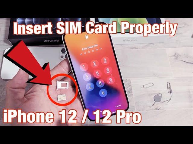 iPhone 12: How to Insert SIM Card Properly + Double Check