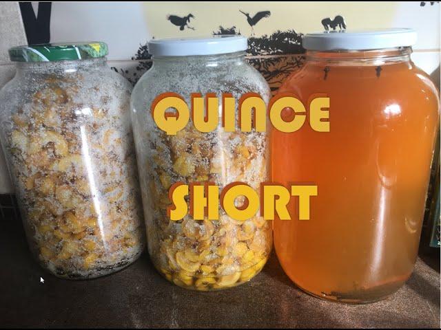 Quince homemade alcohol - SHORT version