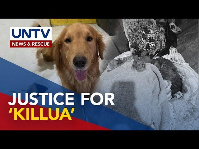 PAWS to stand as one of complainants vs. suspect in killing of dog ‘Killua’