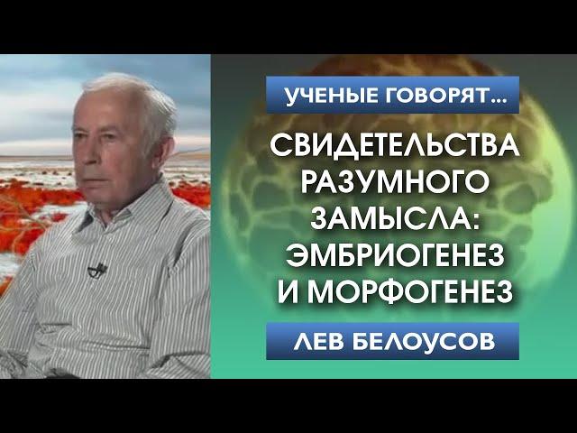 Свидетельства разумного замысла: эмбриогенез и морфогенез | Лев Белоусов. Разумный замысел в природе