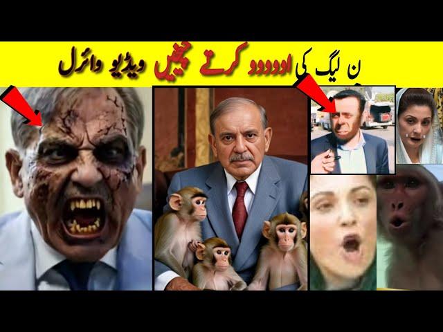 Pakistani Funny Politicians Moments part 118  | kuch bee